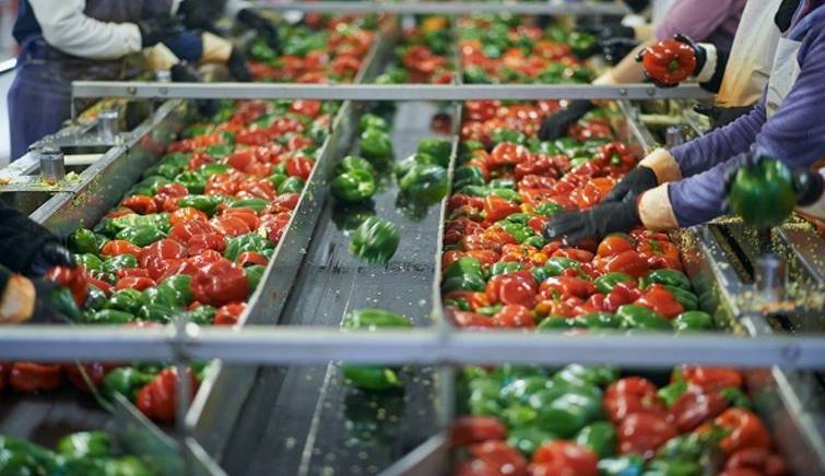 PTI Blog: DP World’s Supply Chain Diet