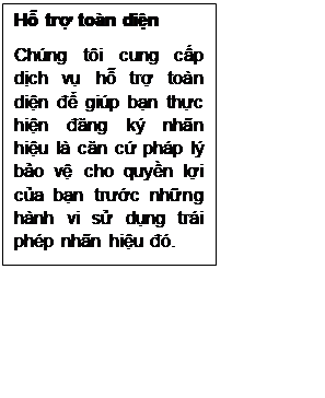 Text Box: Hỗ trợ toàn diện
Chúng tôi cung cấp dịch vụ hỗ trợ toàn diện để giúp bạn thực hiện đăng ký nhãn hiệu là căn cứ pháp lý bảo vệ cho quyền lợi của bạn trước những hành vi sử dụng trái phép nhãn hiệu đó.
