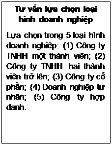 Text Box: Tư vấn lựa chọn loại hình doanh nghiệp
Lựa chọn trong 5 loại hình doanh nghiệp: (1) Công ty TNHH một thành viên; (2) Công ty TNHH hai thành viên trở lên; (3) Công ty cổ phần; (4) Doanh nghiệp tư nhân; (5) Công ty hợp danh.

